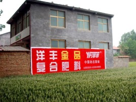 惠安如何让墙体广告展现最大化效果