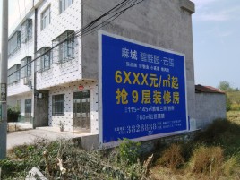 惠安墙体广告质量分析